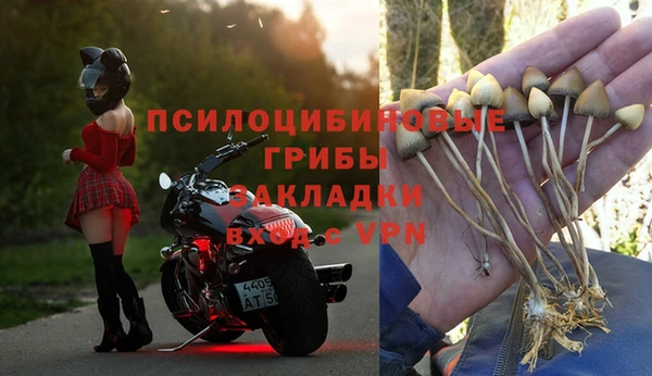 крисы Балахна