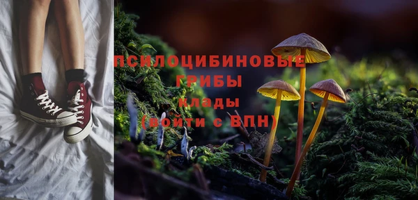 прущая мука Краснослободск