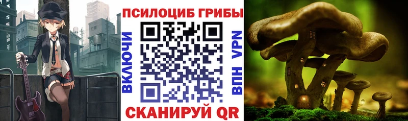 Галлюциногенные грибы MAGIC MUSHROOMS  Купить где  Спас-Клепики 